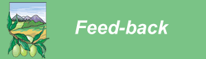 vocabulaire du coaching Feed-back