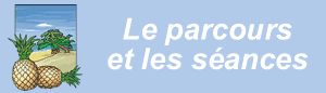 vocabulaire du coaching Le parcours et les scéances